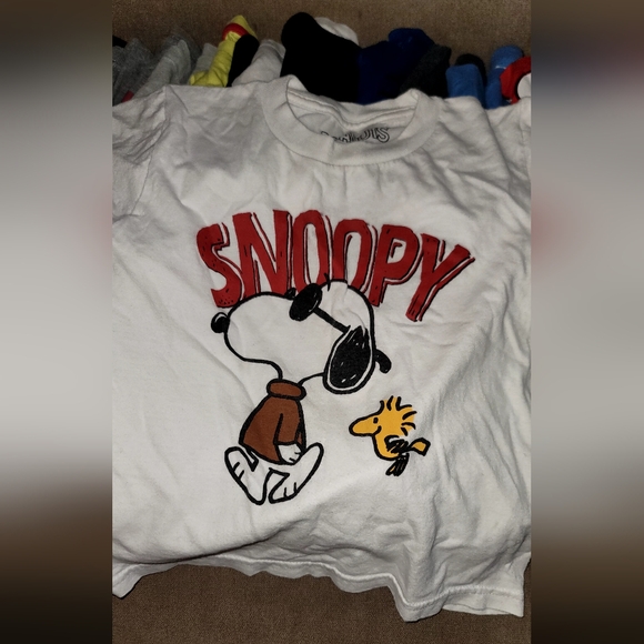 Bundle of boys clothing, size 5 long and short sleeve tops 26pc - Picture 7 of 8